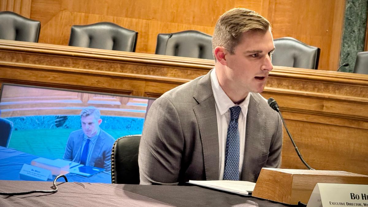 Senate Democrat Probes Tether Payments to Bo Hines' Firm