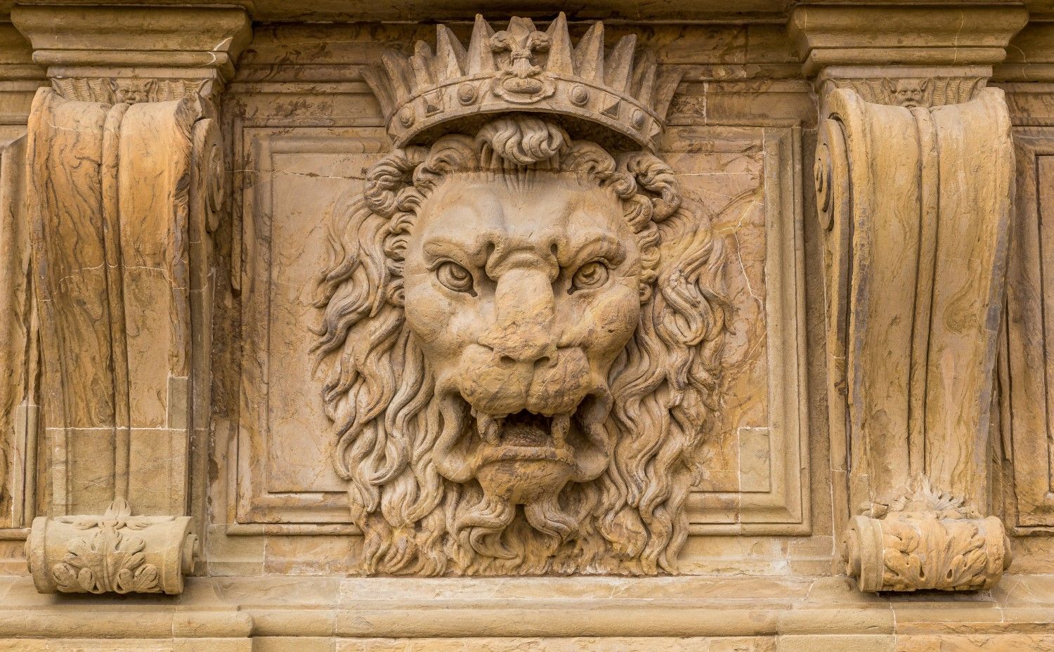 The New Medici Bank Is About to Take On Its First Crypto Clients