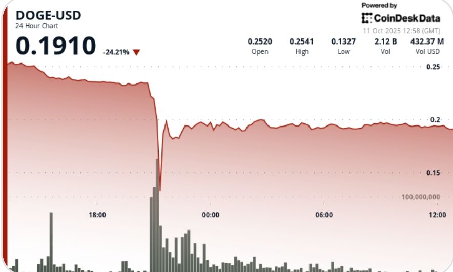 DOGE Suffers 50% Flash Crash Before Stabilizing Near $0.19