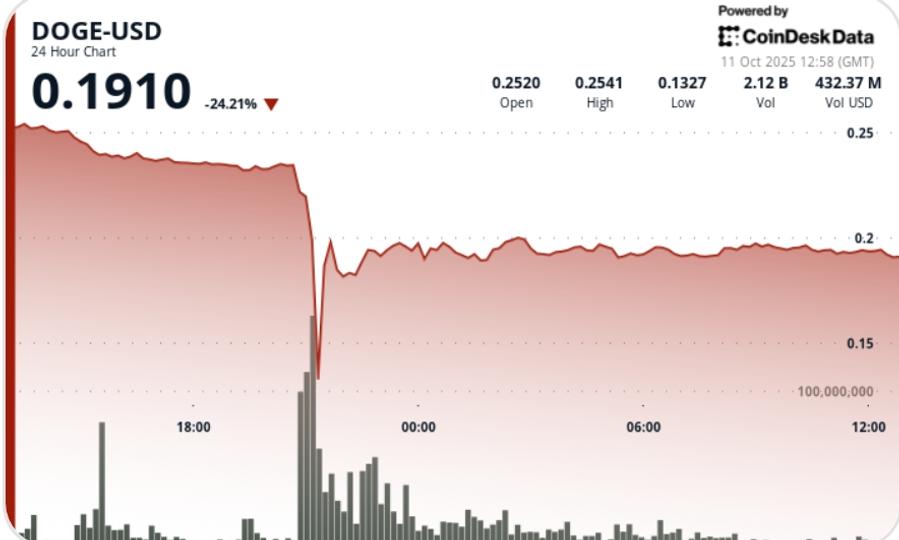 DOGE Suffers 50% Flash Crash Before Stabilizing Near $0.19