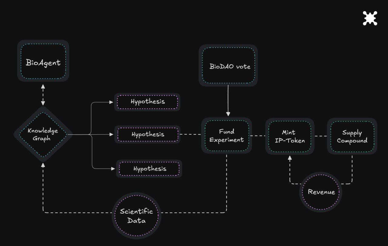 Decentralized Science Project Aubrai Launches on Base to Tackle Science Funding’s ‘Valley of Death’