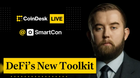 Chainlink "Runtime Environment" Condenses Months of Work into Days - Sergey Nazarov