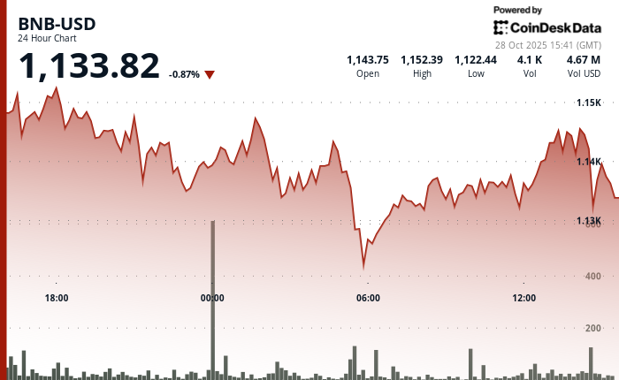 BNB Drops After $1.65B Token Burn, Eyes Resistance Near $1,150
