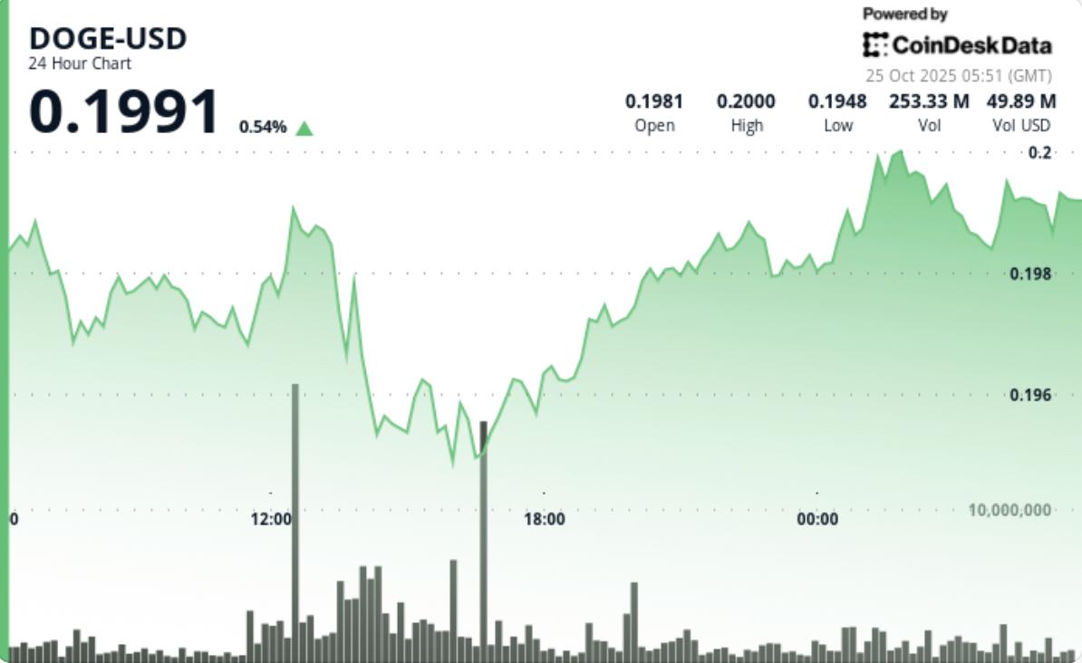 도지코인(DOGE) 가격 뉴스: 거래량 급증에 힘입어 $0.20 돌파