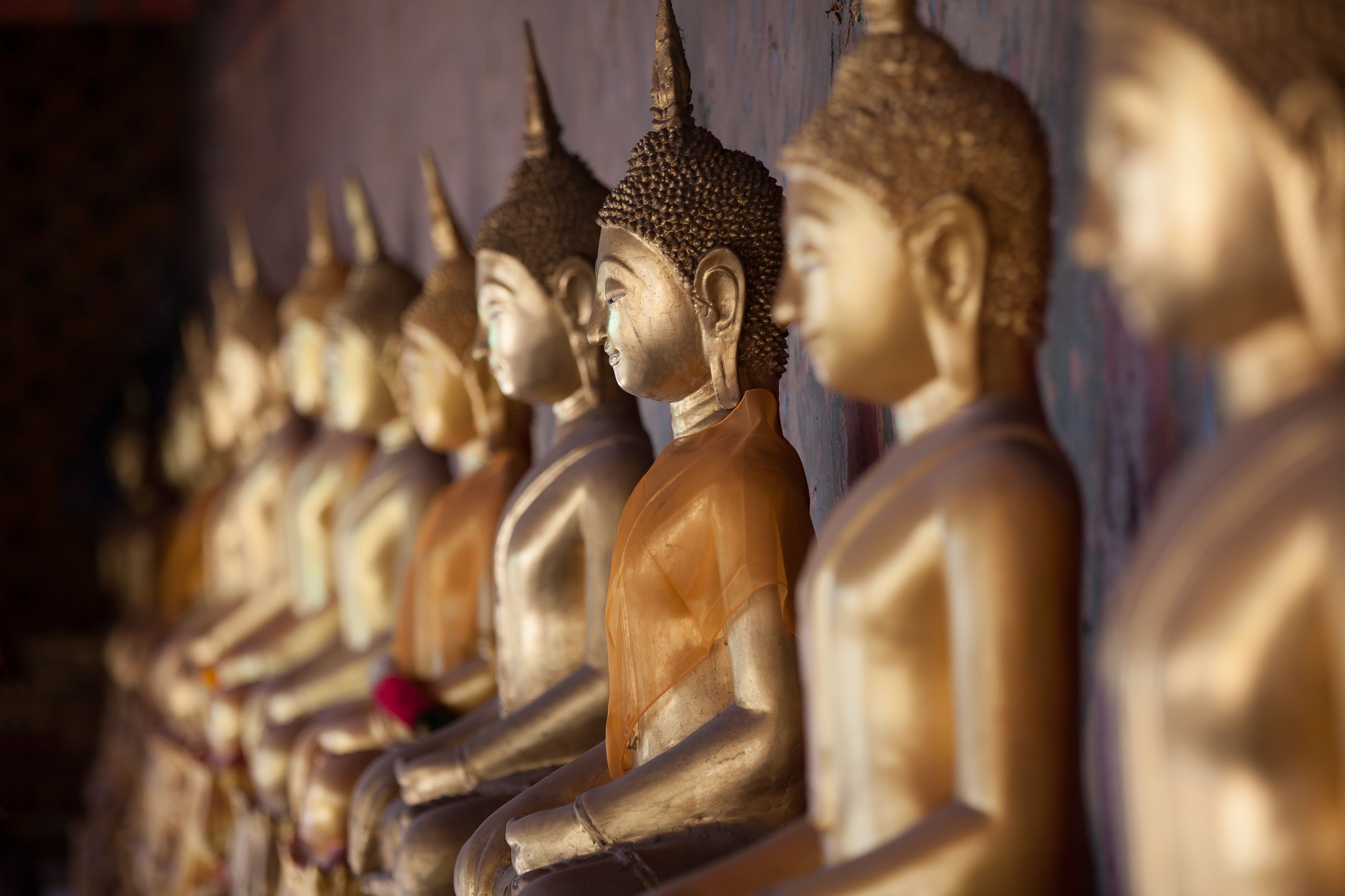 Buddhist Monks Said to Be Targeted by Bitcoin Pyramid Scheme