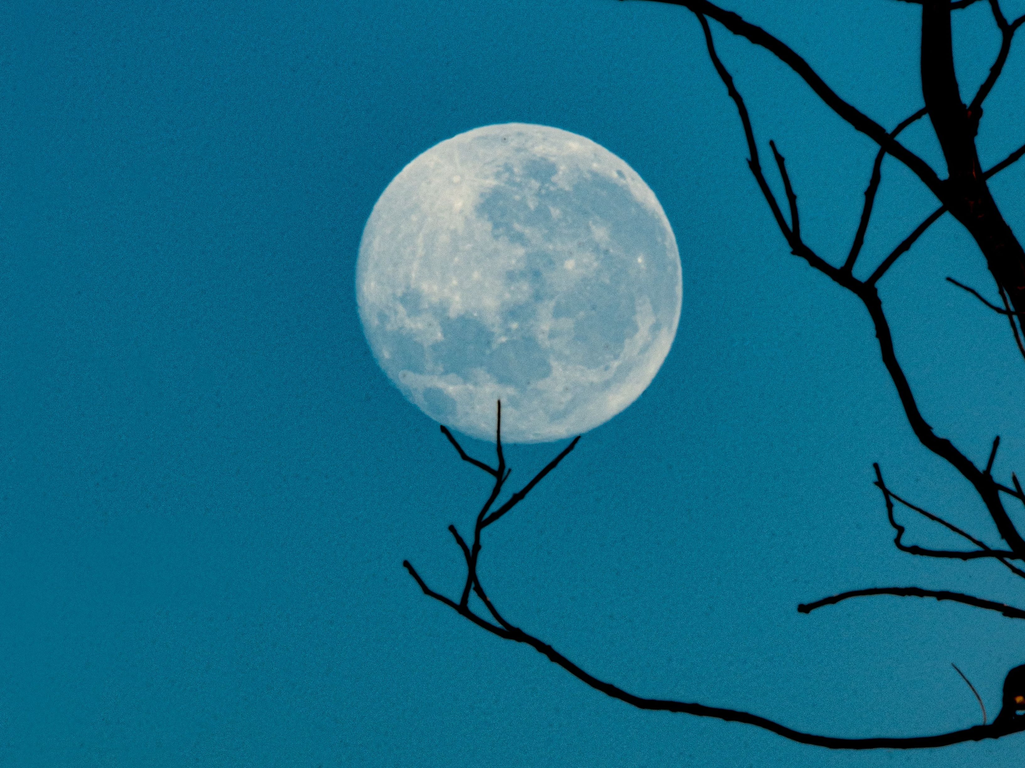 New Terra Blockchain Launch Expected Saturday, With LUNA Airdrop to Follow