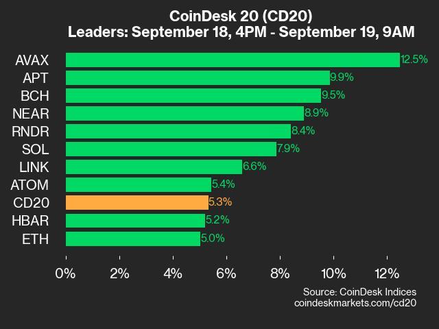 CoinDesk 20 Performance Update: Index Surges 5.3% With All Assets in the Green