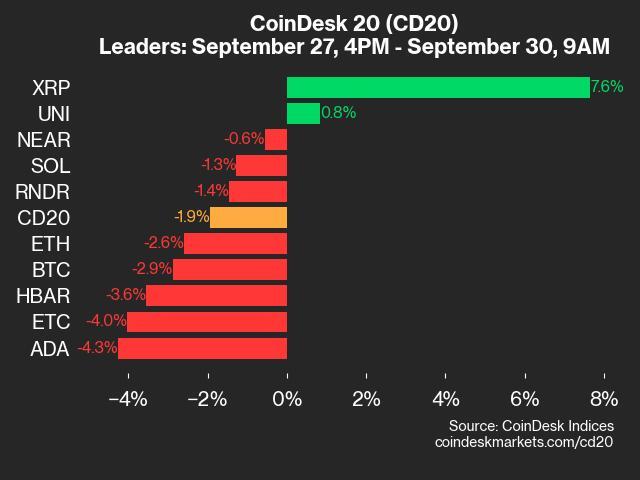 CoinDesk 20 Performance Update: Index Posts Losses, but XRP Rises From Friday