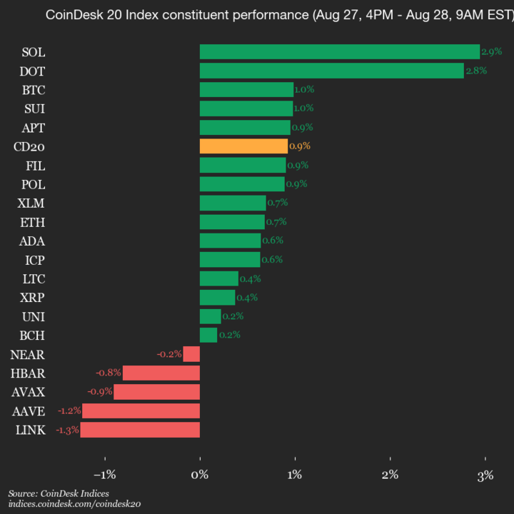 9am CoinDesk 20 Update for 2025-08-28: vertical