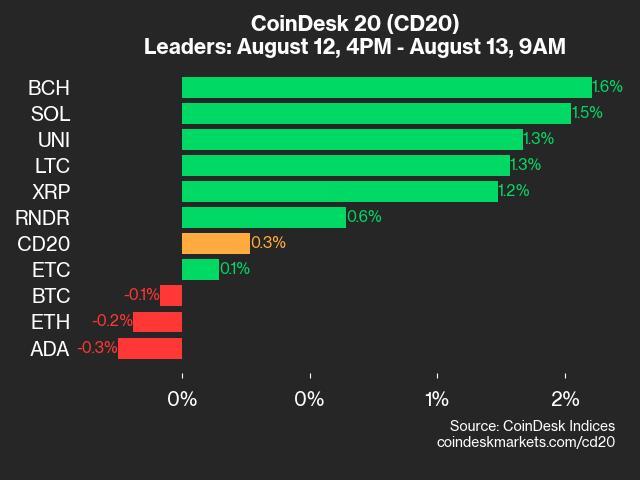 CoinDesk 20 Performance Update: BCH and SOL Gains Lead as Index Inches Up 0.3%