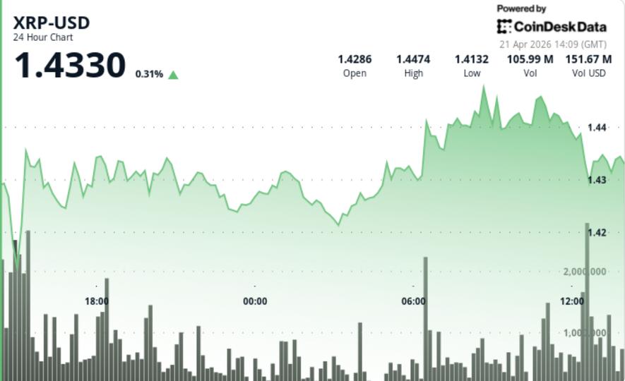XRP oo kor u kacday iyo qorshaha Ripple ee mustaqbalka quantum-ka