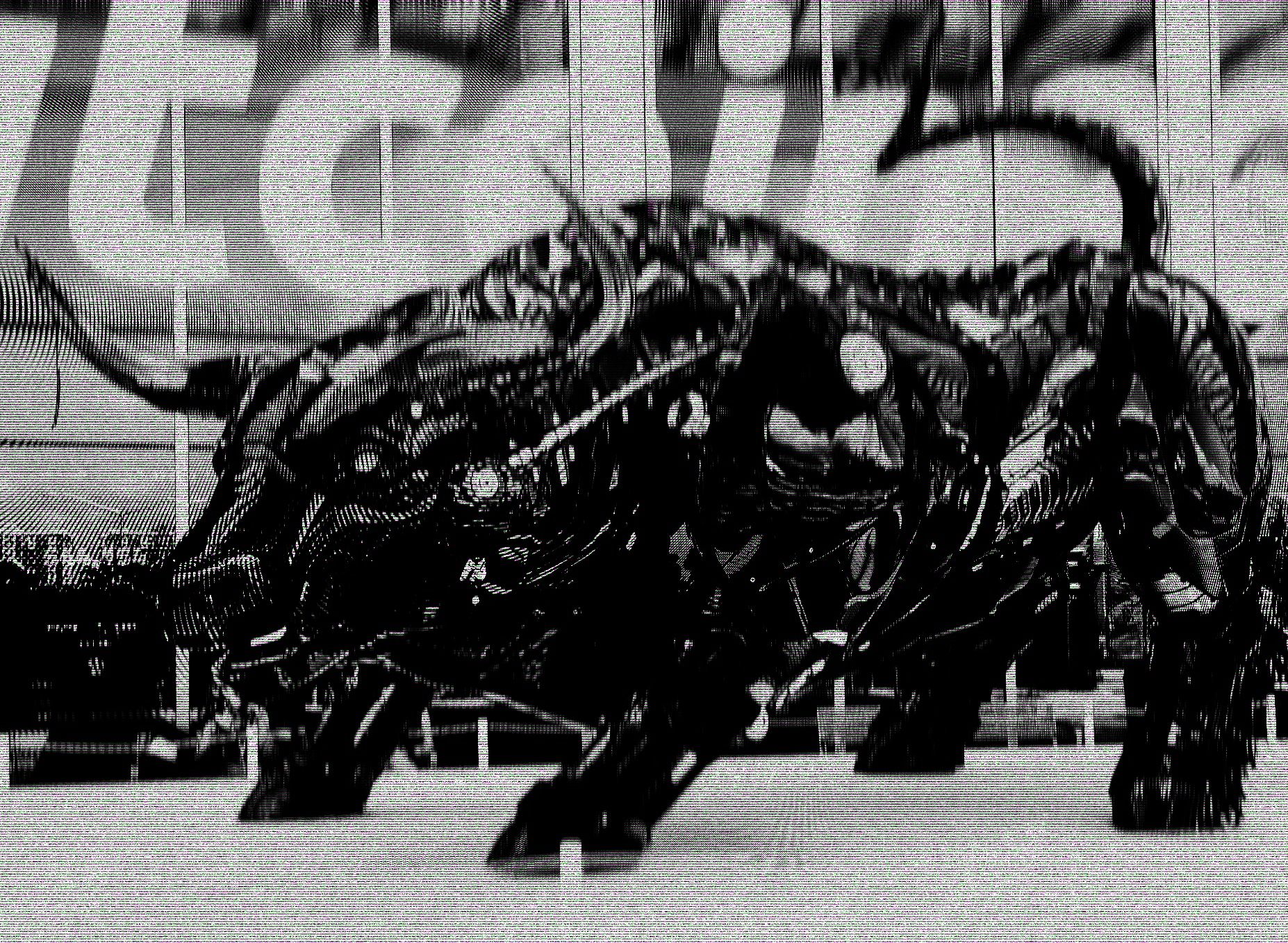 El significado del toro castrado de Bitcoin en Miami