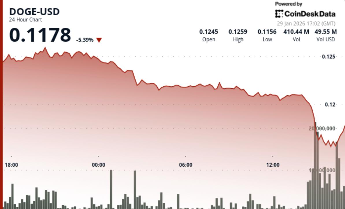 Por qué Dogecoin está a la baja: DOGE cae un 7 % mientras bitcoin pierde  terreno en una operación de aversión al riesgo