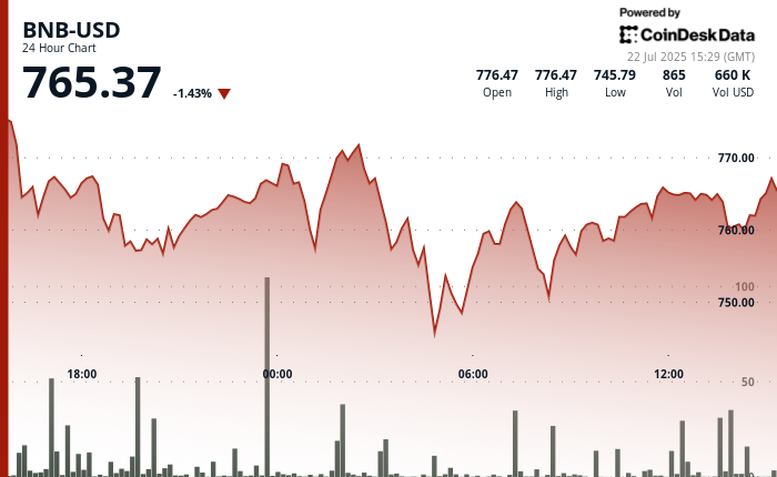 BNB Drops After Failed Breakout, Key Support Holds as Corporate Accumulation Grows