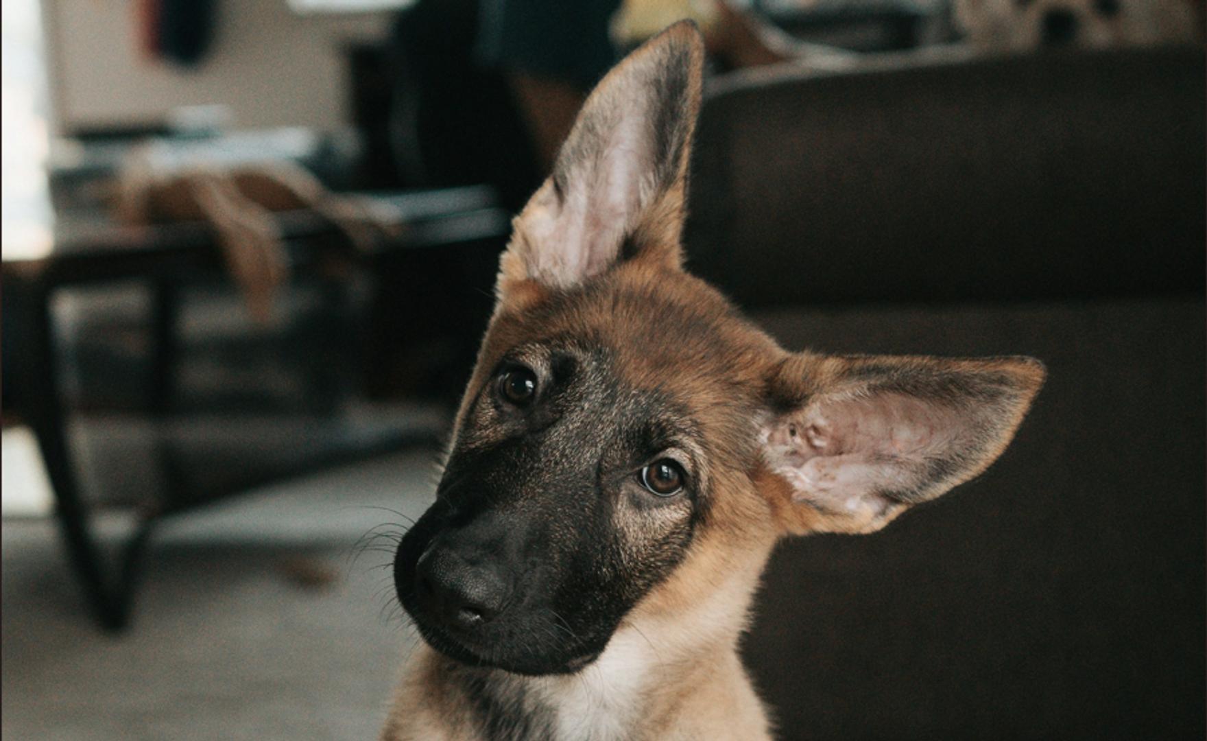 Asia Morning Briefing: Even Prediction Markets Didn’t See Bitcoin’s Selloff Coming