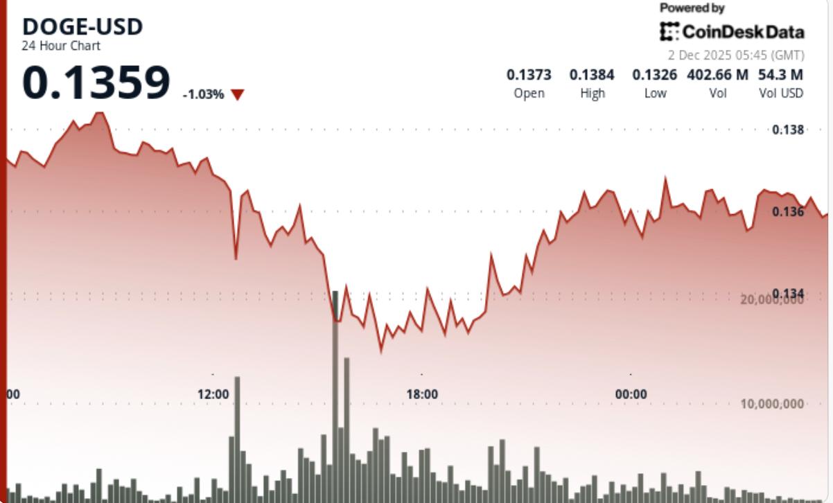 도지코인(DOGE) 가격, 주요 지지선 아래로 하락 — 허위 신호인가 아니면 더 큰 조정의 시작인가?