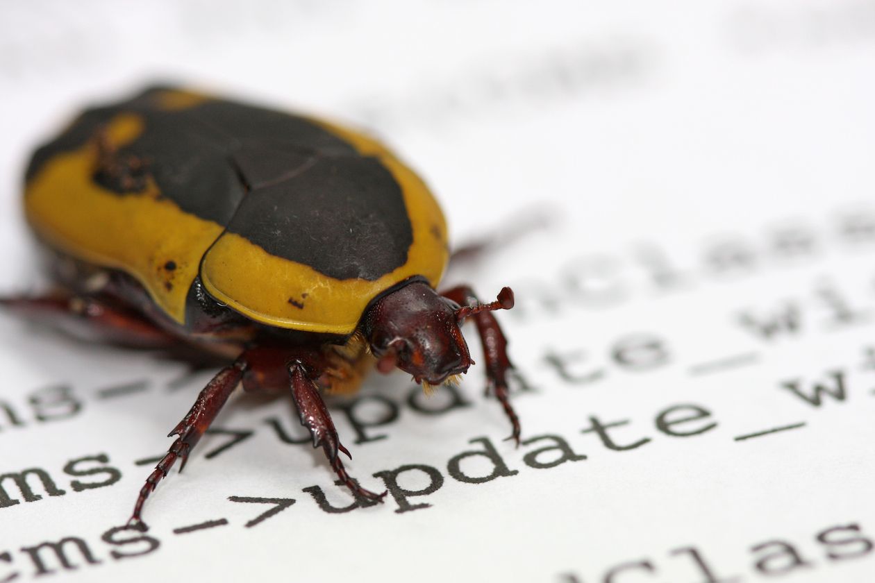 How Validator Support Impacts Protocol Upgrades on Decentralized Ledgers