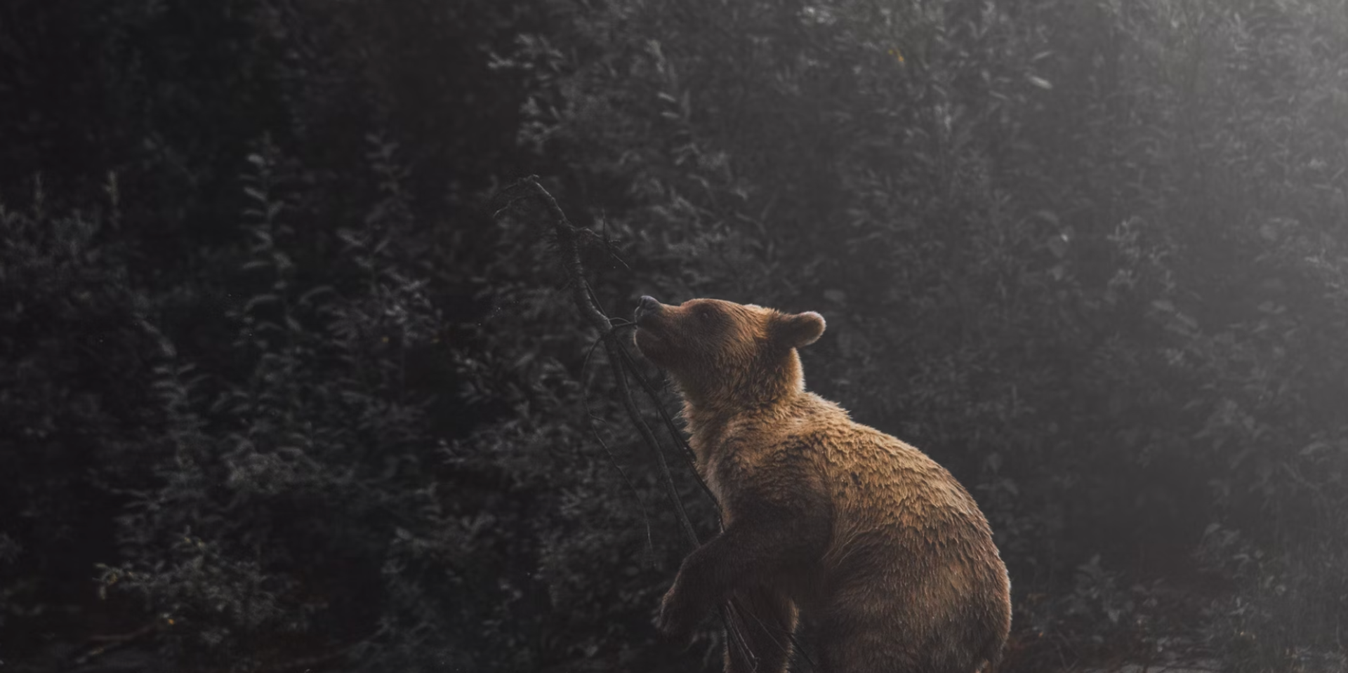 Traders Pile on Short Positions as Bitcoin Approaches All-Time High Traders Pile on Short Positions as Bitcoin Approaches All-Time High