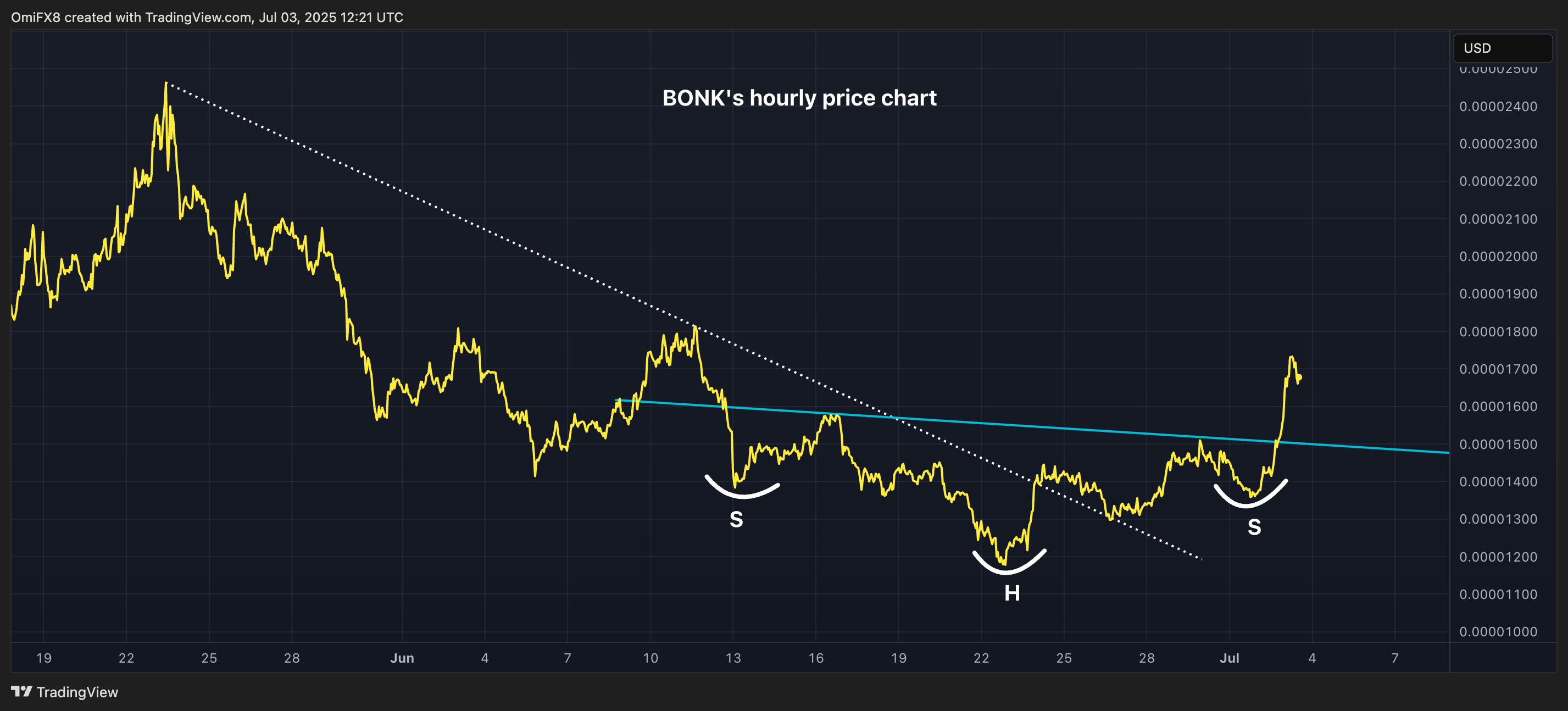 BONK's hourly price chart. (TradingView/CoinDesk) BONK's hourly price chart. (TradingView/CoinDesk)
