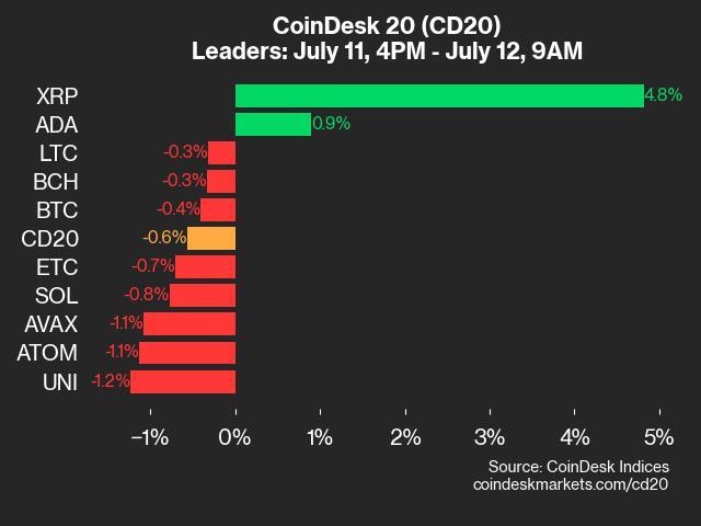 CoinDesk 20 Performance Update: XRP Gains Amid Overall Index Decline