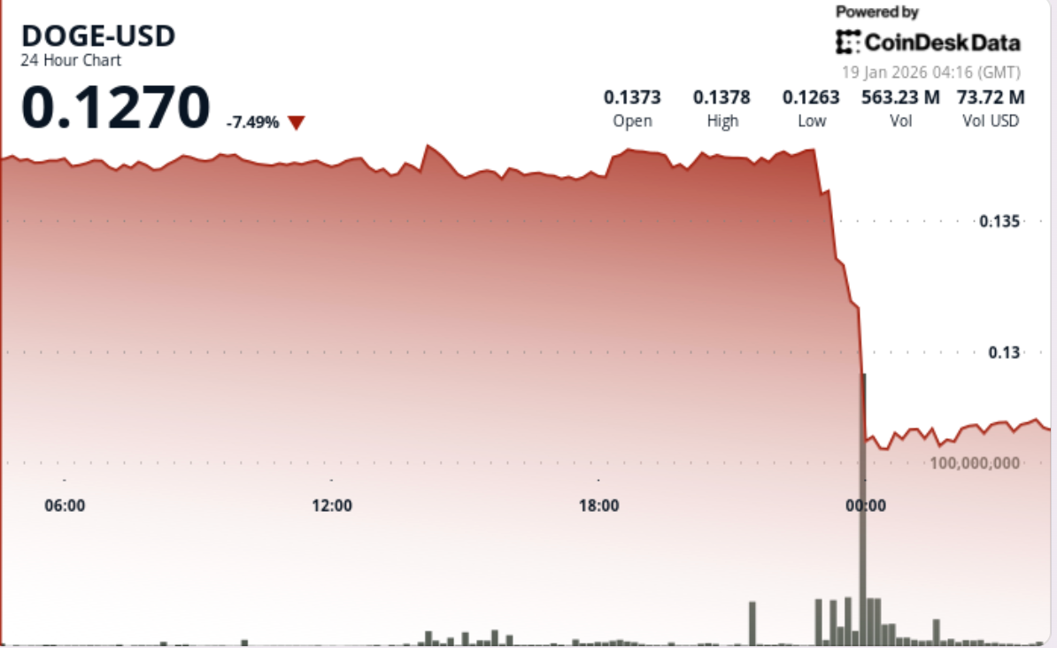 DOGE price now: Dogecoin slides 7% as bitcoin drops under $92,000
