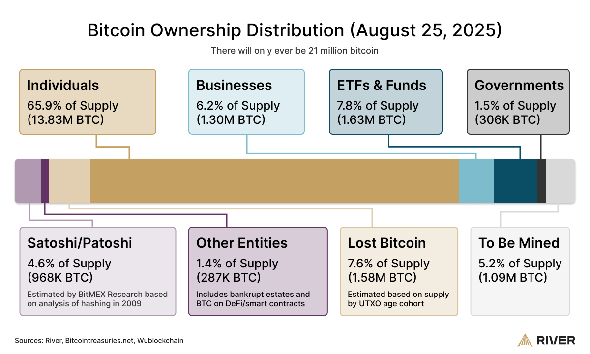 Bitcoin Ownership Distribution (River's research, Aug. 25, 2025) River research infographic showing bitcoin ownership distribution by category