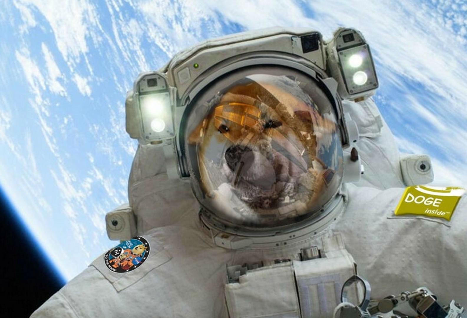 Elon Musk dit Espace X peut mettre DOGE 'sur la lune' l'année prochaine - CoinDesk | Related Crypto Article