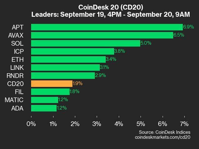 CoinDesk 20 Performance Update: APT Jumps 6.9% as Index Gains 