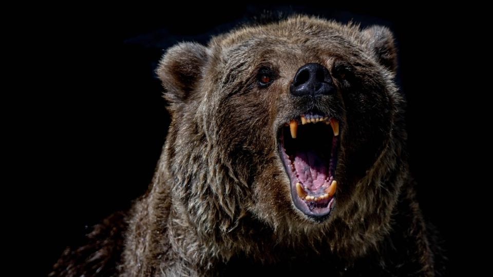 Bitcoin Plunges Under $60K; Crypto Bulls Lose $200M as Dogecoin, Solana ...