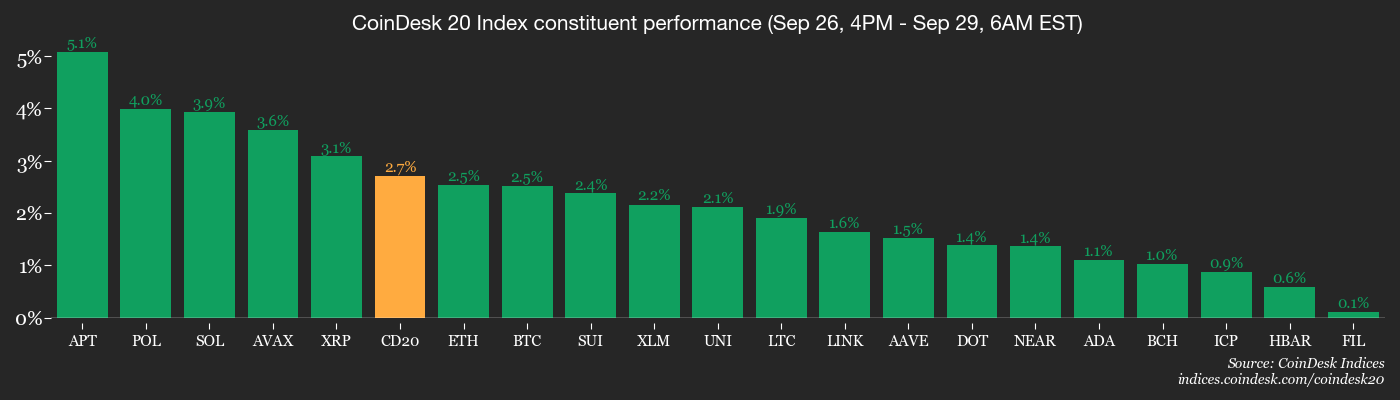 CoinDesk 20 members’ performance