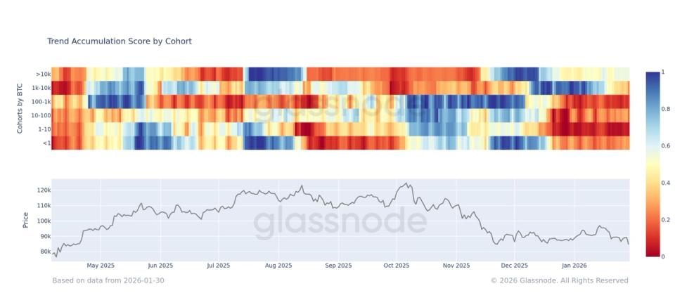 Bitcoin's Hidden Battle: Retail Panic vs. Whale Accumulation in the Selloff