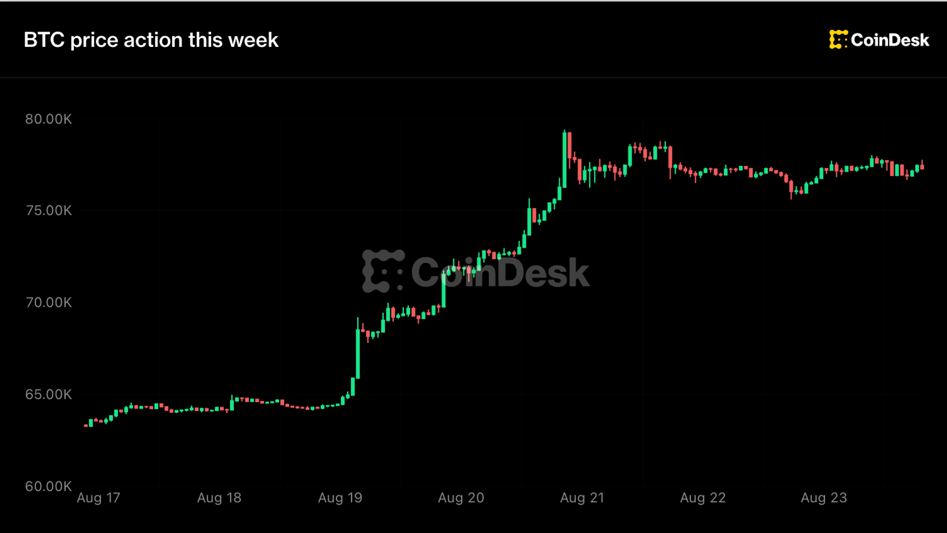 Live updates: Bitcoin holds $77,000 as XRP, Zcash pull back after a big weekly rally