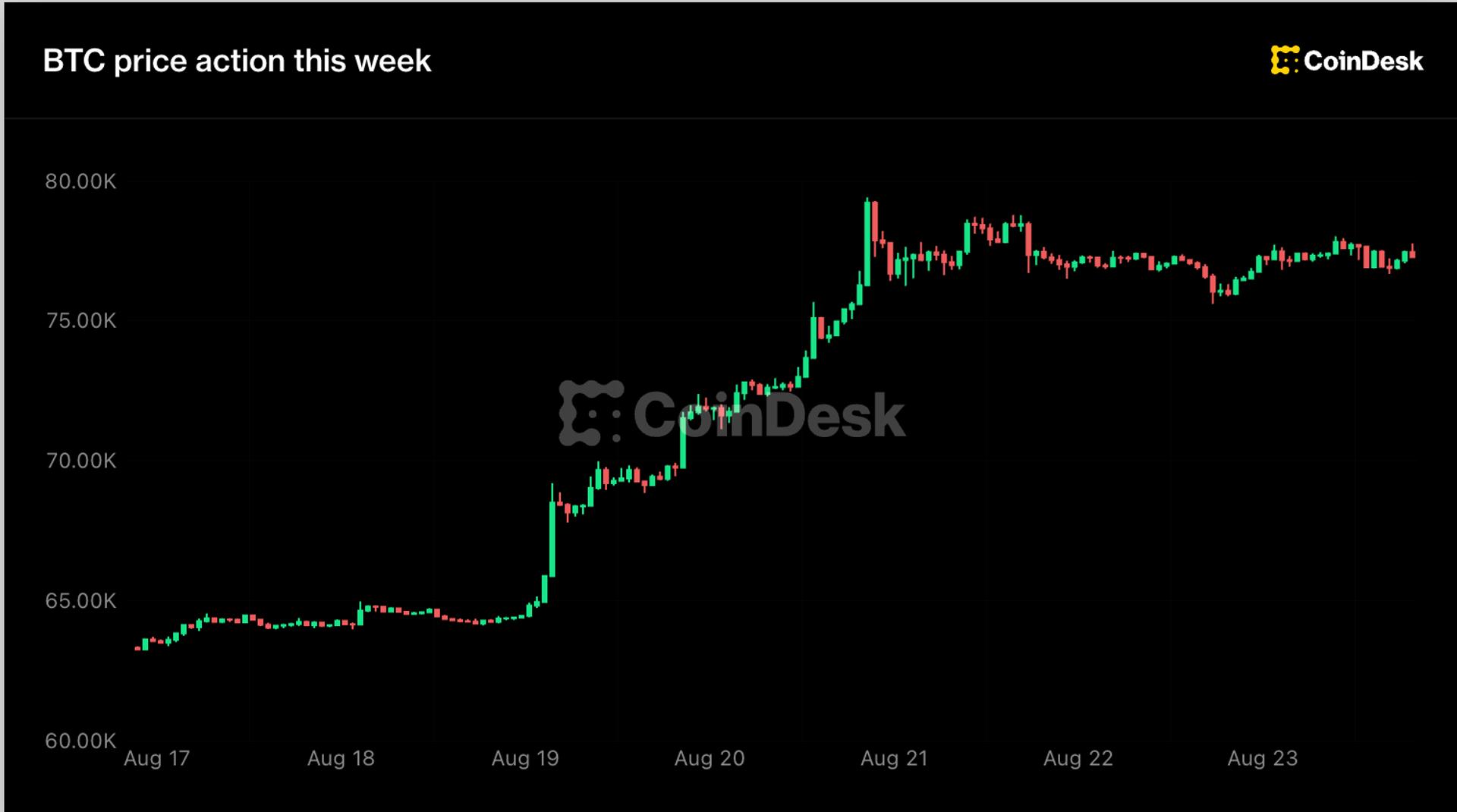 Live updates: Bitcoin holds $77,000 as XRP, Zcash pull back after a big weekly rally