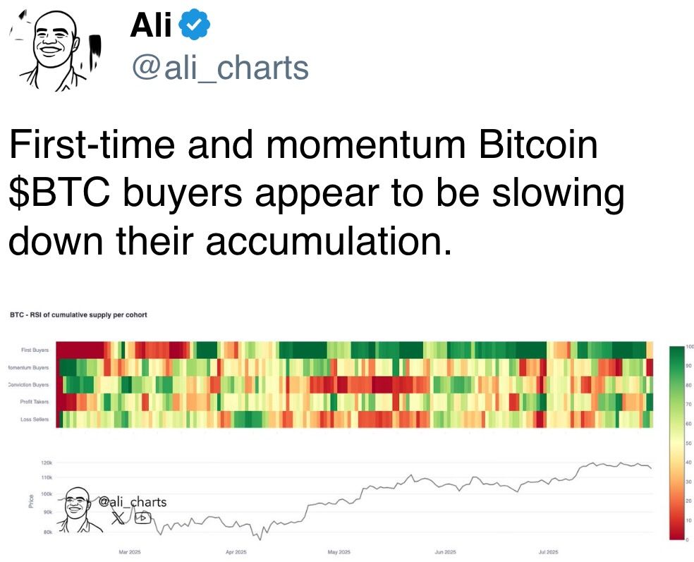 First-time and momentum Bitcoin $BTC buyers appear to be slowing down their accumulation.