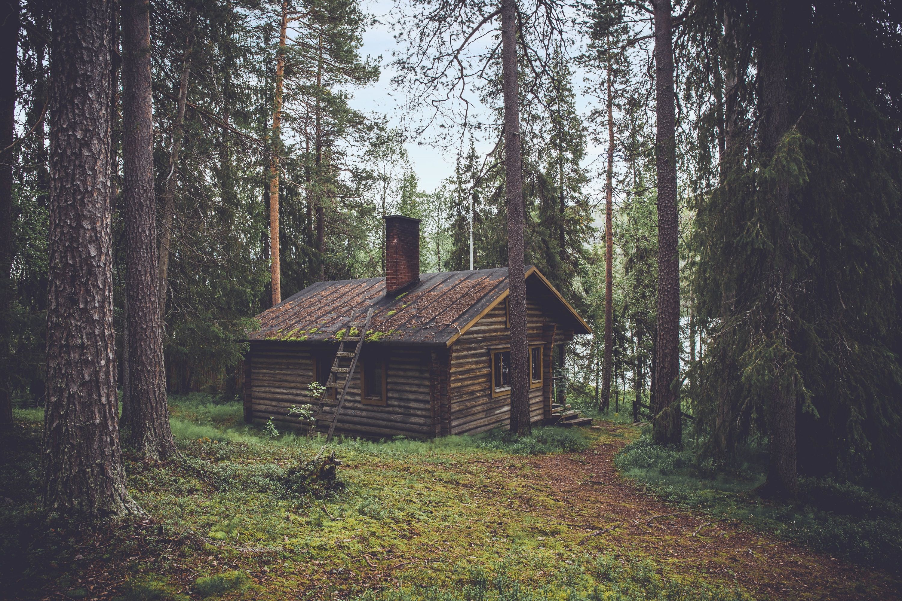 Coliving Project Cabin Wants to Put Digital Nomads in Nature