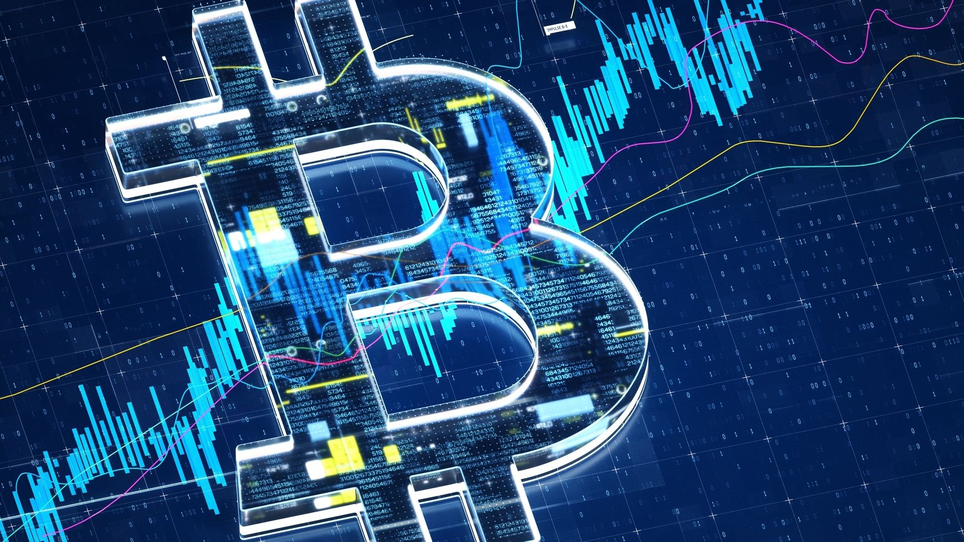 Nic Carter | CoinDesk Author