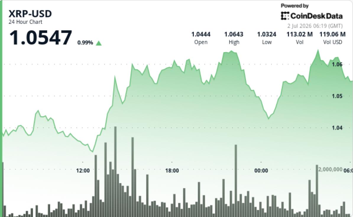 （最終値下げ）18SS RIPPLE JQ L/S PULL OVER XRP price news: Large holders of Ripple-linked token rise while
