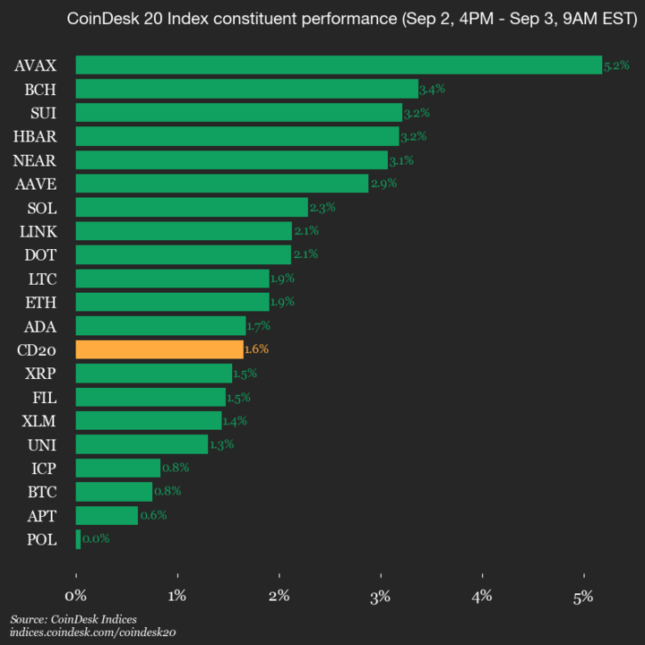 9am CoinDesk 20 Update for 2025-09-03: vertical chart 9am CoinDesk 20 Update for 2025-09-03: vertical