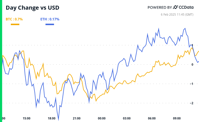 Crypto Daybook Americas: Bitcoin Bull Postings Lift Spirits