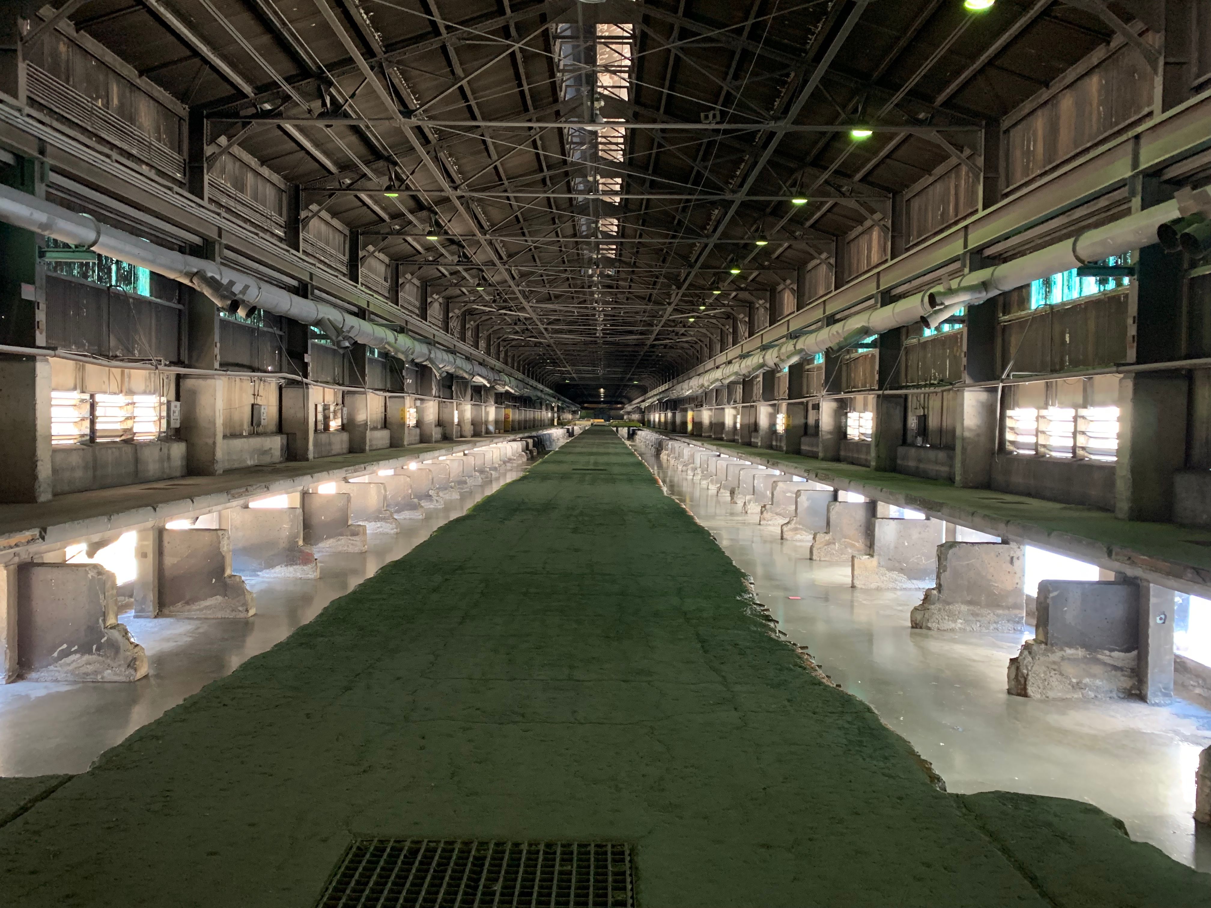 Want Cleaner Bitcoin Mining? Subsidize It