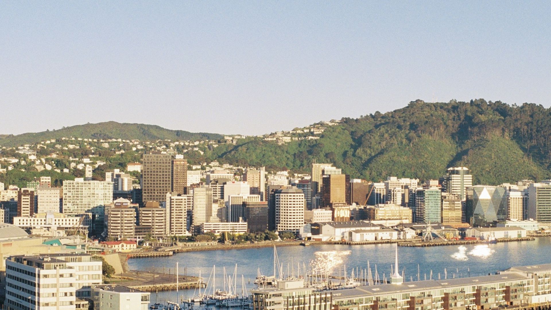 Bankrupt Cryptopia Exchange to Return Crypto to Some Creditors