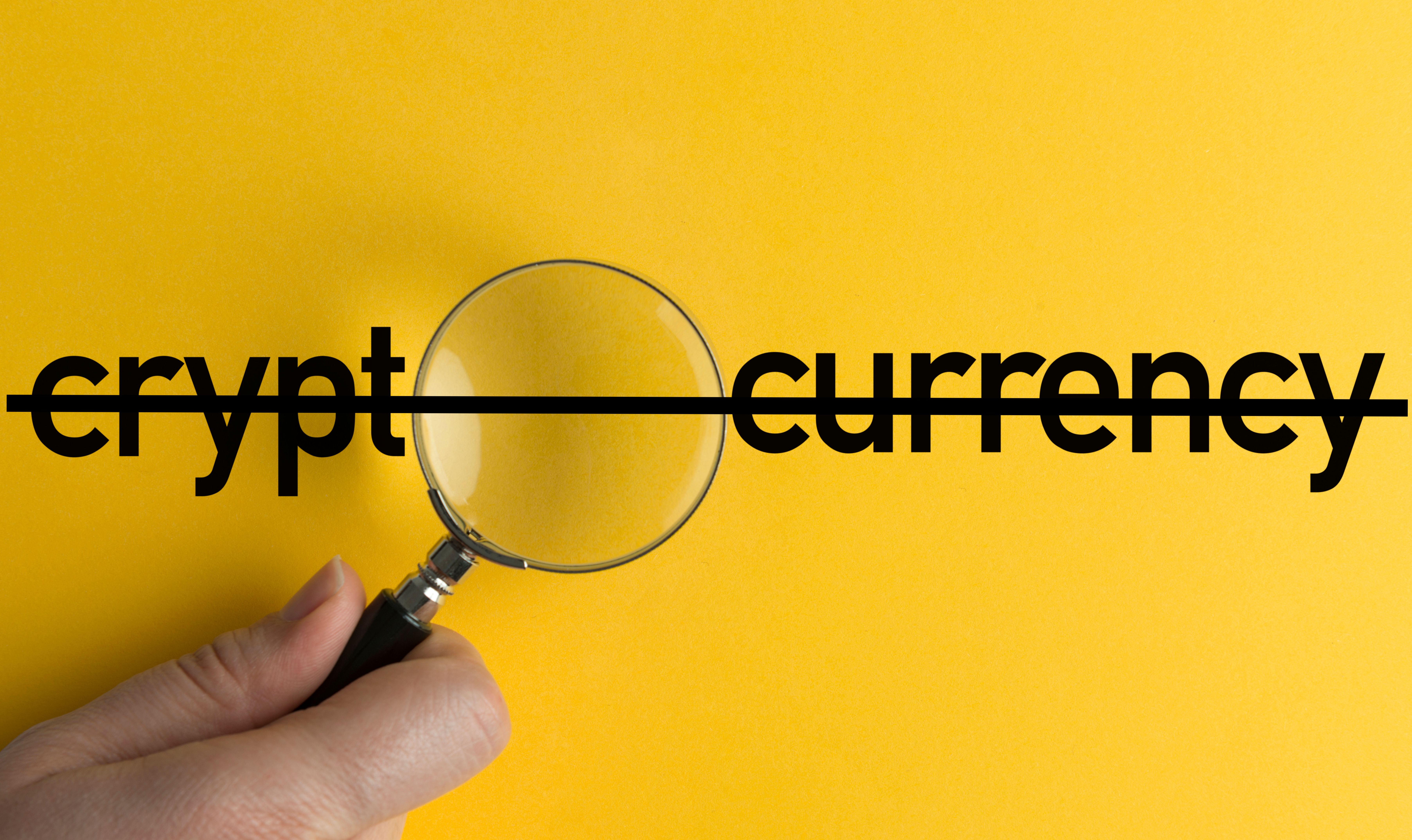 (solidcolours/GettyImages)