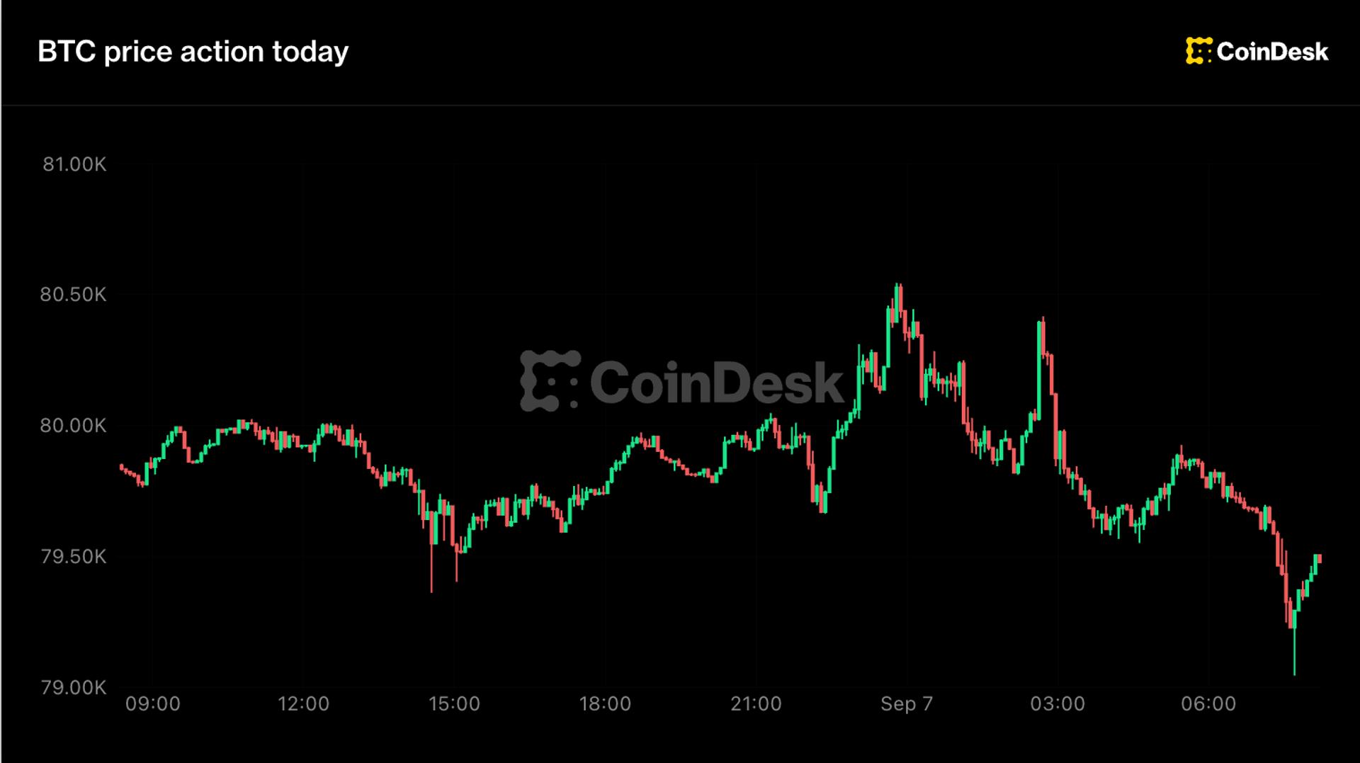 Bitcoin Holds Firm at $79,000 Despite Rising Rate Hike Odds