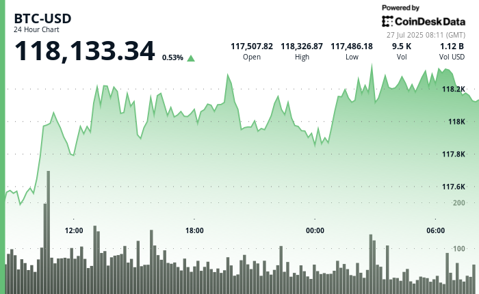 BTC Amazon.com: New Bitaxe NerdQaxe++ Hydro - 4.8TH/s Bitcoin Miner