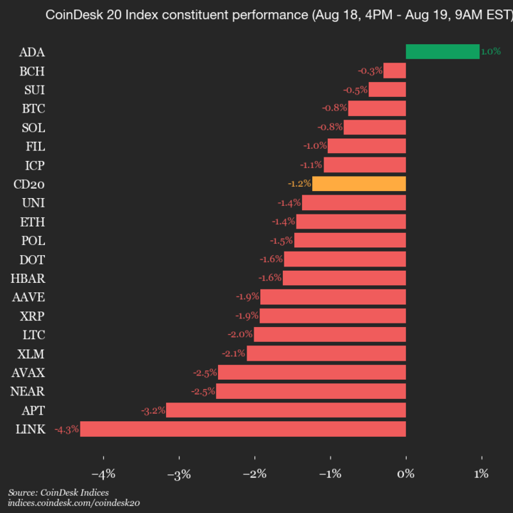 9am CoinDesk 20 Update for 2025-08-19: vertical chart 9am CoinDesk 20 Update for 2025-08-19: vertical