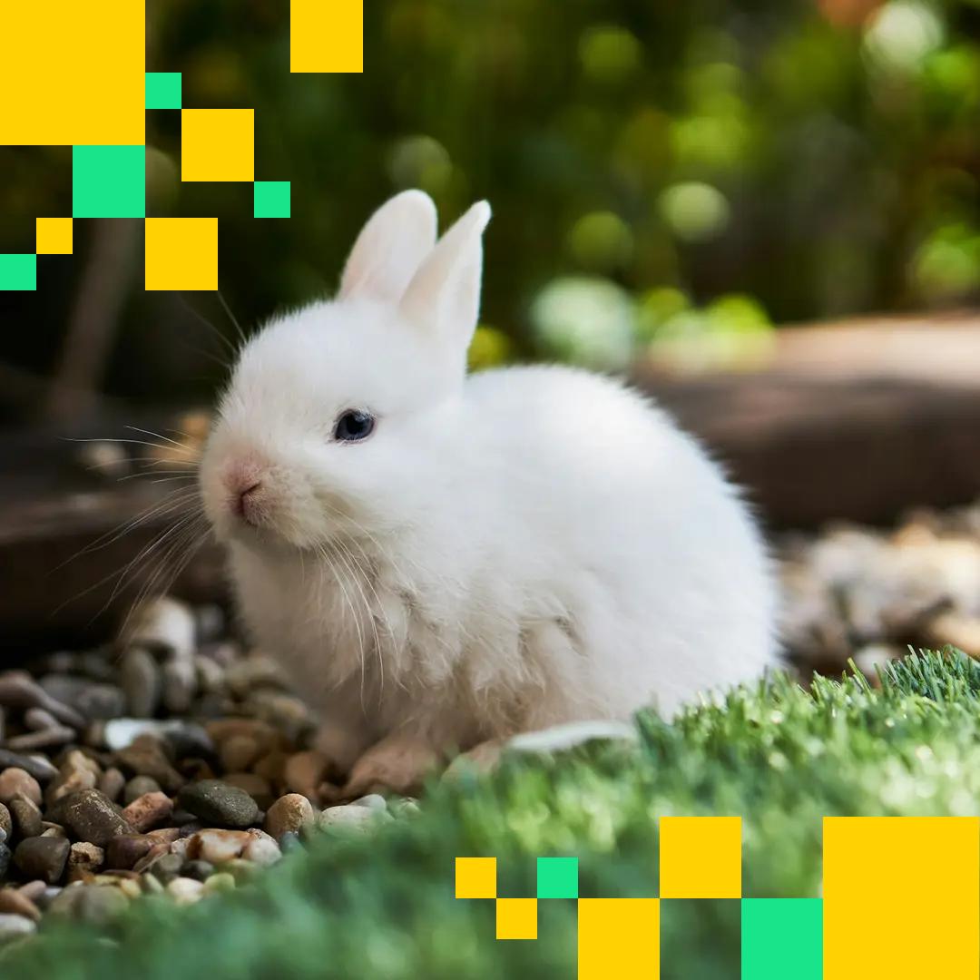 Decentralized exchange | CoinDesk