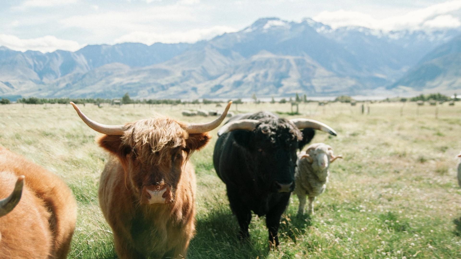 Ether-Bitcoin Ratio Signals ETH is ‘Extremely Undervalued,’ But Headwinds Remain: CryptoQuant Ether-Bitcoin Ratio Signals ETH is ‘Extremely Undervalued,’ But Headwinds Remain: CryptoQuant