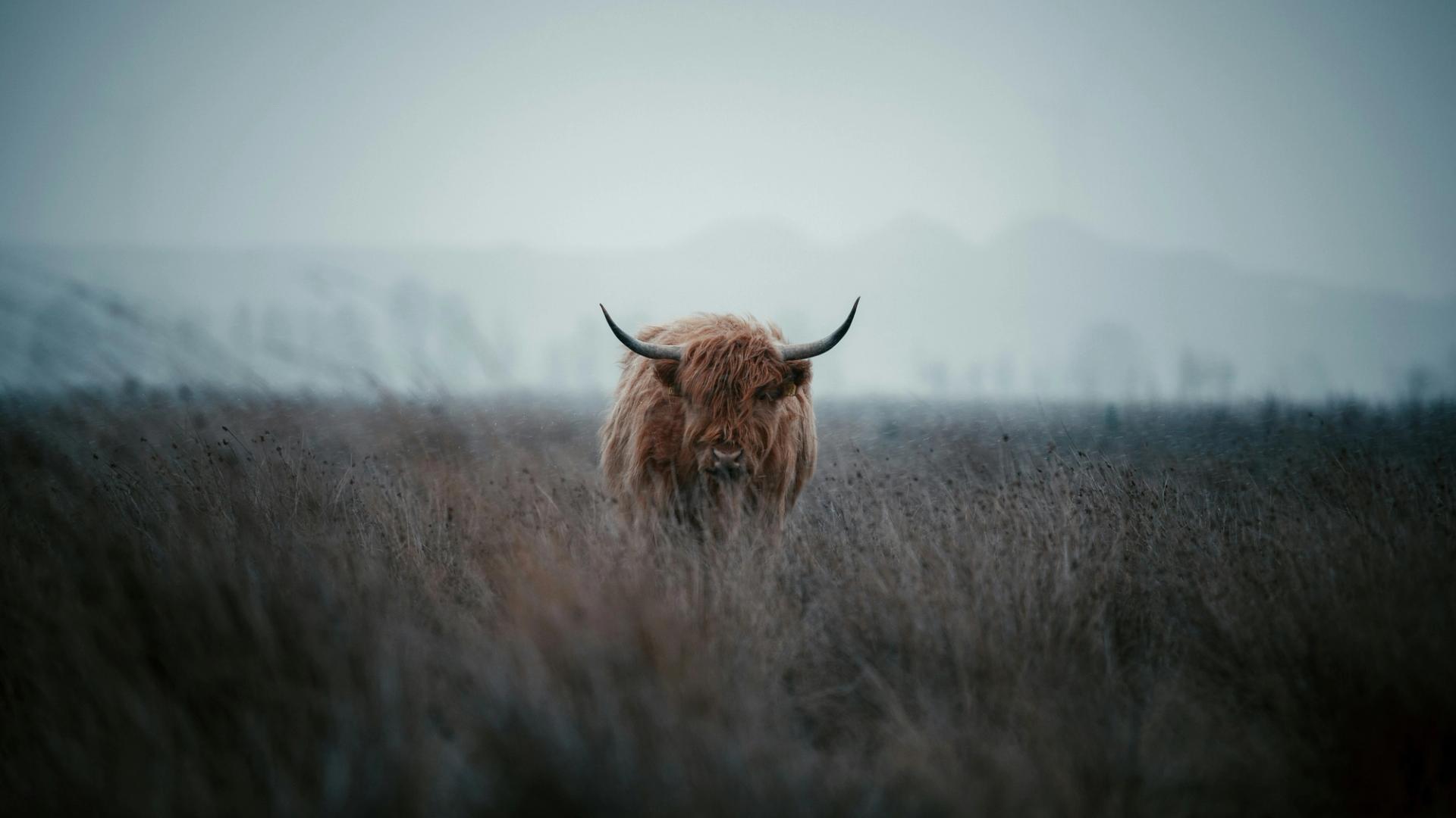 Bitcoin's 44% gain in third quarter teases full-blown crypto bull run