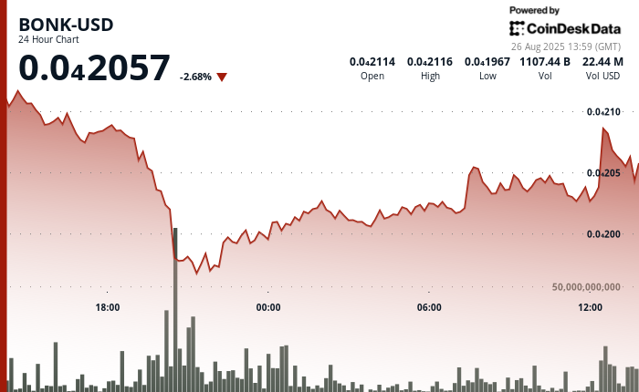 BONK Rallies Despite Market Volatility as Safety Shot Commits $25M in Token Financing