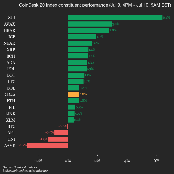 9am CoinDesk 20 Update for 2025-07-10: vertical chart 9am CoinDesk 20 Update for 2025-07-10: vertical
